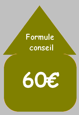 FLECHE CONSEIL 2