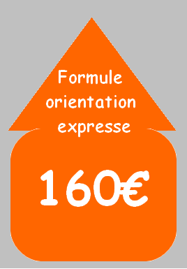 FLECHE ORIENTATION EXPRESSE 2