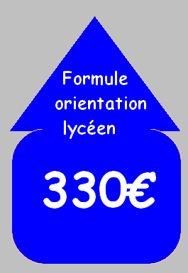 FLECHE ORIENTATION LYCEEN