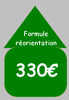 FLECHE ORIENTATION EXPRESSE 2